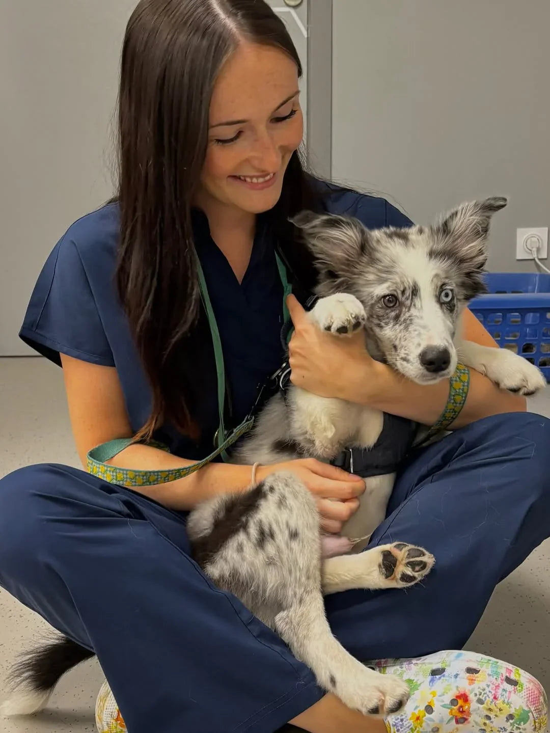 Uniformes veterinarios: comodidad y resistencia para el trabajo diario