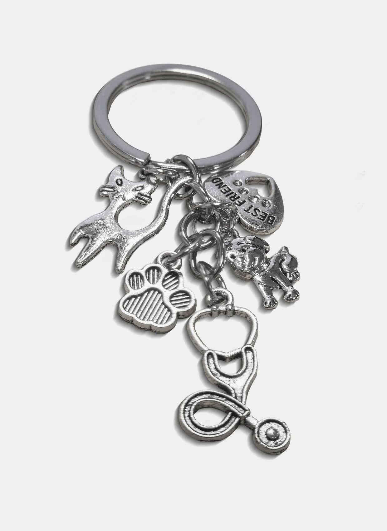 keychain vets the vet life keychain